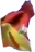 :kazoony: